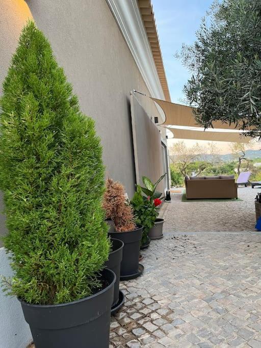Ferienhaus Quinta Da Alfarrobeira Peaceful Countryside Distrikt Faro