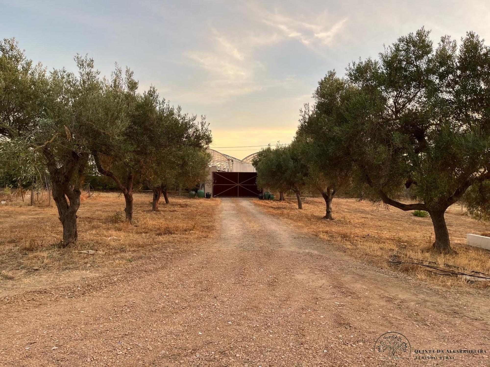 Quinta Da Alfarrobeira Peaceful Countryside Ferienhaus